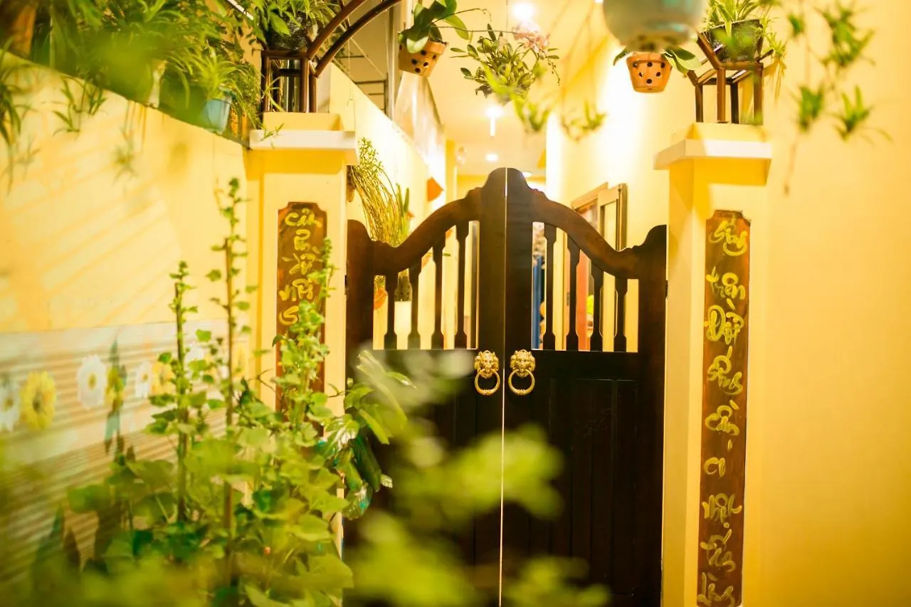 The View Homestay Hoi An Vietnam